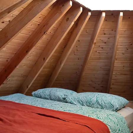 Tinyhouse Hexagonal In Organic Farm Sintra