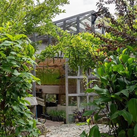 Tinyhouse Hexagonal In Organic Farm Ferienpark