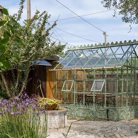 Tinyhouse Hexagonal In Organic Farm Feriepark Sintra