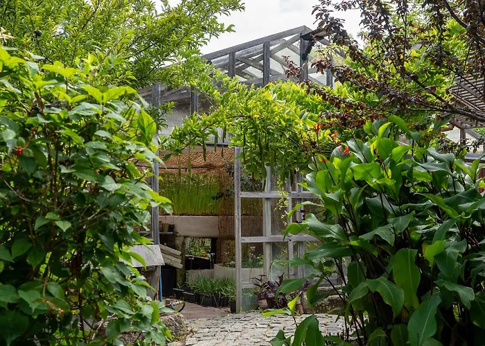 Tinyhouse Hexagonal In Organic Farm Kompleks wypoczynkowy