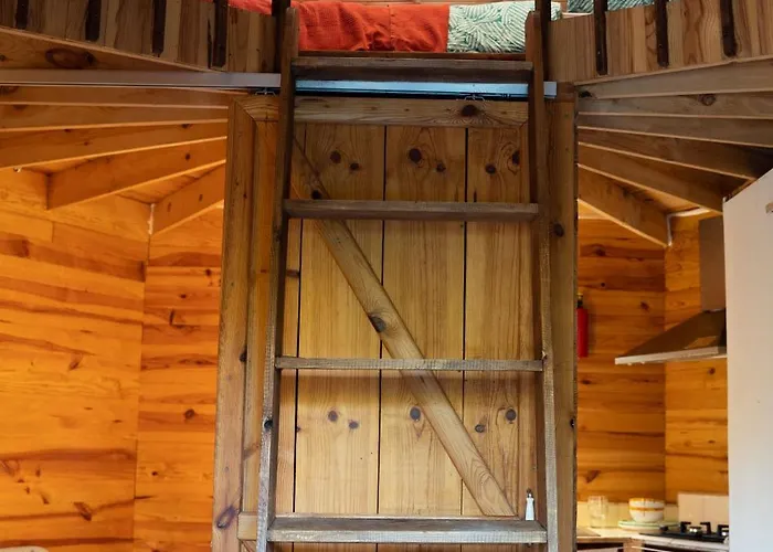 Kompleks wypoczynkowy Tinyhouse Hexagonal In Organic Farm *